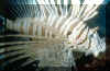 0165.jpg (53692 octets)